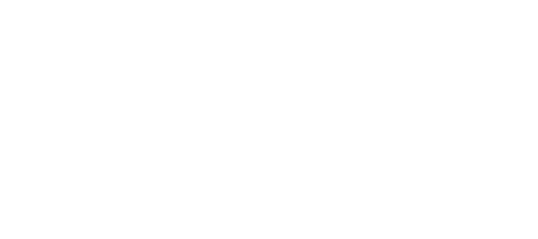Bizflok Media